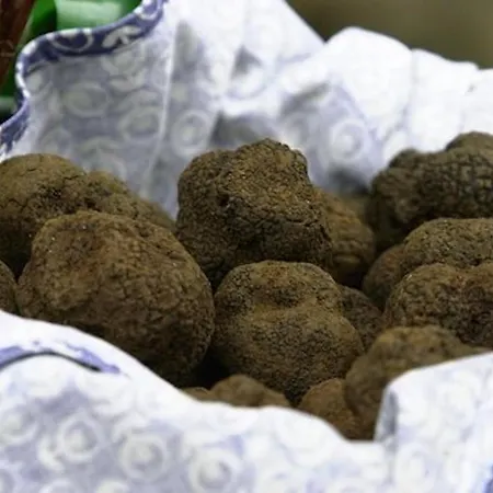 Le Logis - Lescapade-medievale Apartamento