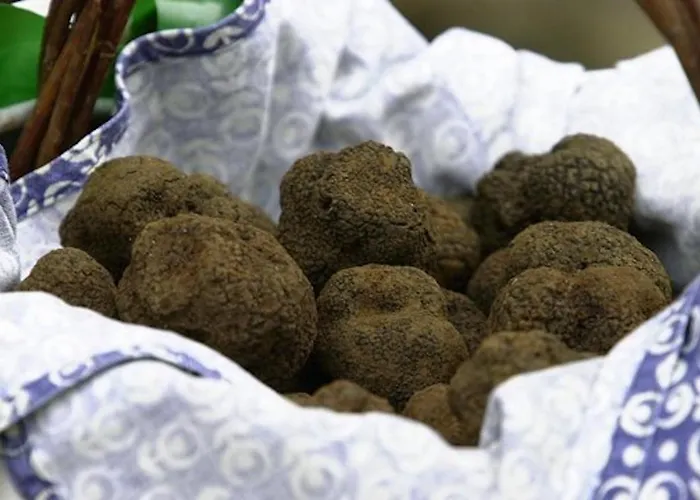 Le Logis - Lescapade-medievale Apartman